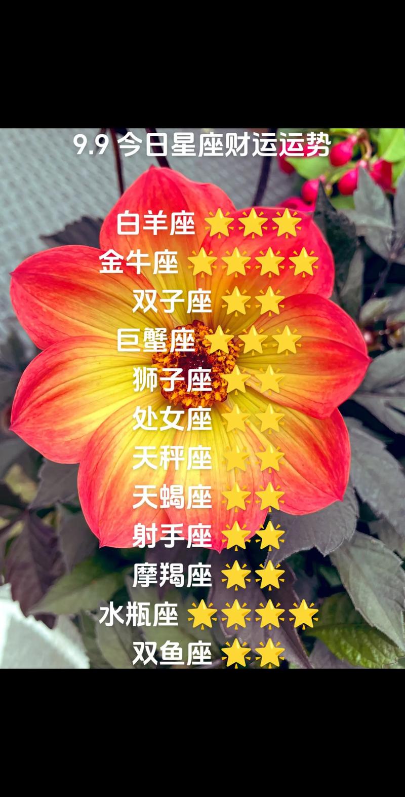 9.9号是什么星座，9月初四是什么星座？-第2张图片-达达星座